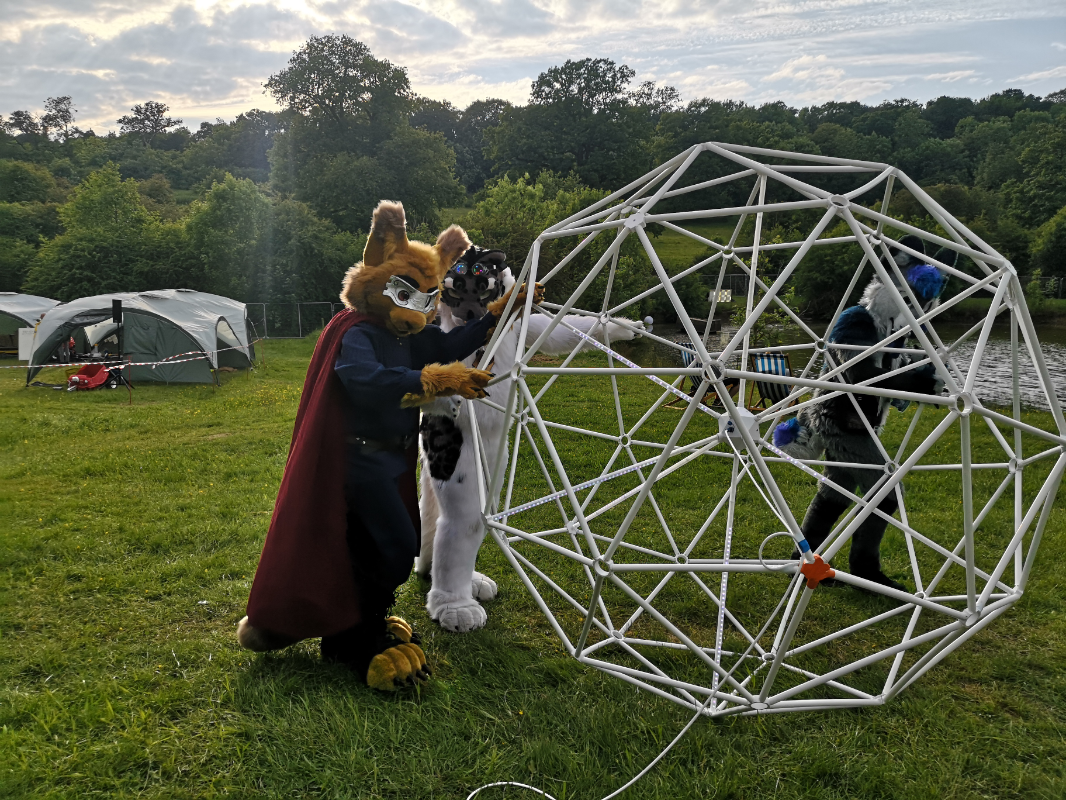 Furries playing with some big balls uwu