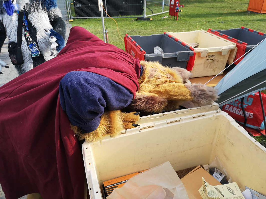 Looking in the box of electronic junk